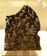Photo of a meteorite of dark to light brown and  grey in a dappled pattern.