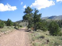 Bull Creek Pass Back Country Byway