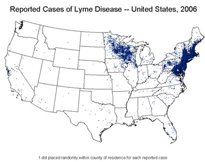 Incidencia de la enfermedad de Lyme por estado