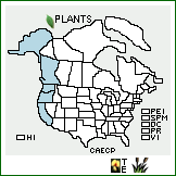 Distribution of Carex echinata Murray ssp. phyllomanica (W. Boott) Reznicek. . 