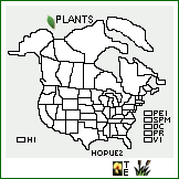 Distribution of Hordeum pusillum Nutt. ssp. euclaston (Steud.) Hauman [excluded]. . 