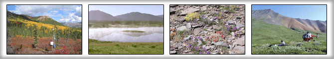 1. Permafrost long-term climate station, Denali National Park and Preserve, credit Pam Sousanes, NPS Photo;
2. Vapor over Jones Lake, Bob Marshall Wilderness in the background, credit Mark Shapley;
3. Rock garden summer flowers, Sierra Nevada, credit Connie Millar;
4. Searching for a climate station site, Nutzotin Mountains, Wrangell-St. Elias National Park and Preserve, credit Paul Atkinson, NPS Photo