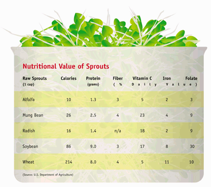 chart showing calories, protein, fiber, vitamin C, iron and folate in raw sprouts