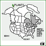 Distribution of Vicia cracca L. ssp. tenuifolia (Roth) Gaudin. . Image Available. 