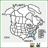 Distribution of Najas guadalupensis (Spreng.) Magnus ssp. floridana (Haynes & Wentz) Haynes & C.B. Hellquist. . 