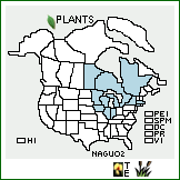 Distribution of Najas guadalupensis (Spreng.) Magnus ssp. olivacea (Rosend. & Butters) Haynes & C.B. Hellquist. . 