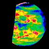 Venus Nightside through the Near Infrared Mapping Spectrometer