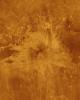 Venus - Simulated Color of Ushas Mons