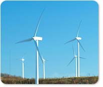 photo of wind mills