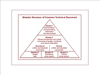 Modular Structure of Common Technical Document