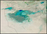 Thumbnail of Flooding in Tunisia