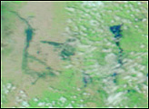 Thumbnail of Floods in Northwestern India