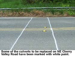 Photo: Culvert markings
