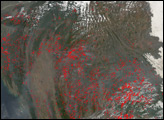 Thumbnail of Fires in Southeast Asia