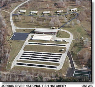 aerial view of hatchery