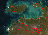 Thumbnail of Fires in Northern Territory, Australia