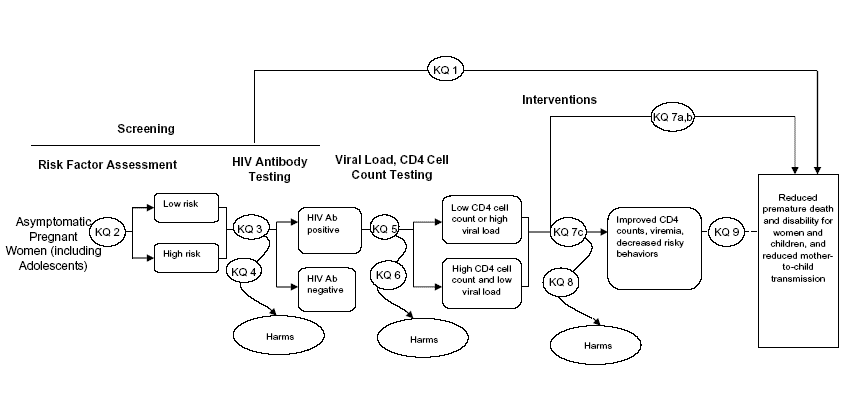 Figure shows analytic framework for HIV  screening for pregnant women. Go to Text Description [D] for details.