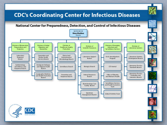 ncpdcid organizational chart