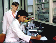 Photo of two scientists using a microscope.