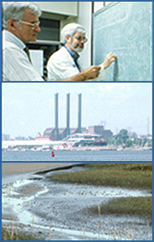 Photos (three):  Showing Water quality instances:  scientists, waterway, marsh.
