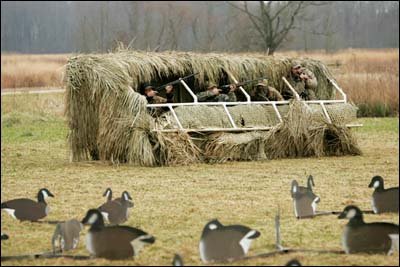 Five hunters behind a waterfowl blind at Bombay Hook National Wildlife Refuge.