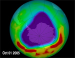 Antarctic Ozone Hole in 2005