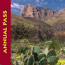 Image of left-hand corner of Public Lands Pass, red bar on left, image of desert wildflowers and cactus on the right.