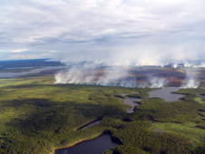 Smoke plumes seen from the air