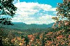 Fall on Heintooga Ridge Road