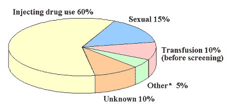 Pie chart showing sources of HCV infection