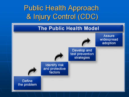 Picture of slide 2 as described above, which also includes a picture of the public health model as described above.