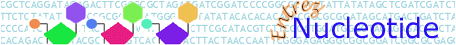 Nucleotide banner