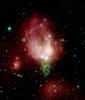 Spitzer Telescope Sends Rose for Valentine's Day