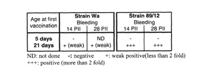 table showing antibody response