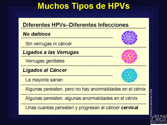 Muchos Tipos de HPVs