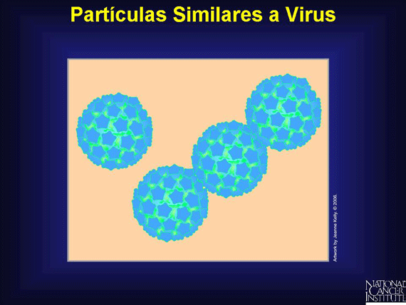 Partículas Similares a Virus