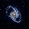 Barred Spiral Galaxy NGC 1365