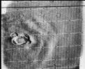 Mariner 9 views Olympus Mons standing above the Martian Dust Storm