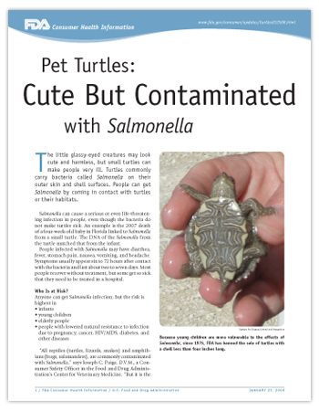 Cover page of PDF version of this article, including photo of a small turtle held in a human hand.