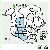 Distribution of Populus ×acuminata Rydb. (pro sp.) [angustifolia × deltoides]. . Image Available. 