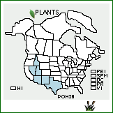 Distribution of Populus ×hinckleyana Correll (pro sp.) [angustifolia × fremontii]. . 