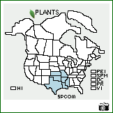 Distribution of Sporobolus compositus (Poir.) Merr. var. macer (Trin.) Kartesz & Gandhi. . Image Available. 