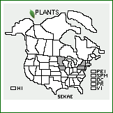 Distribution of Sedum kamtschaticum Fisch. & C.A. Mey. ssp. ellacombianum (Praeger) R.T. Clausen. . 