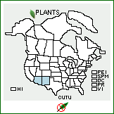 Distribution of Cuscuta tuberculata Brandegee. . 