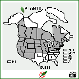 Distribution of Euphorbia esula L. var. esula. . Image Available. 