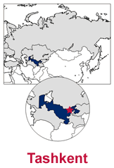 gif image - Uzbekistan country map