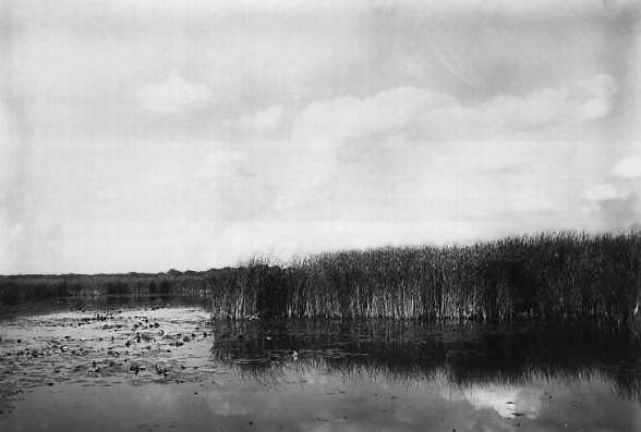 Montezuma Marsh in 1910