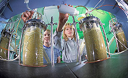 Photo: Technician Melissa Goff (left) and animal scientist Kathy Soder analyze samples of the contents of a cow's rumen. Link to photo information