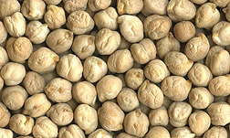 Photo: Chickpeas 