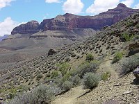 WALKING EAST ALONG THE TONTO TRAIL BETWEEN INDIAN GARDENS AND THE S. KAIBAB TRAIL. GRAND CANYON N.P. NPS PHOTO. 